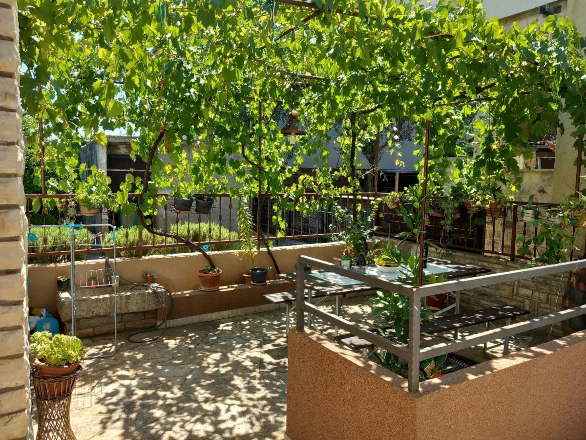 Apartman Oli زادار المظهر الخارجي الصورة