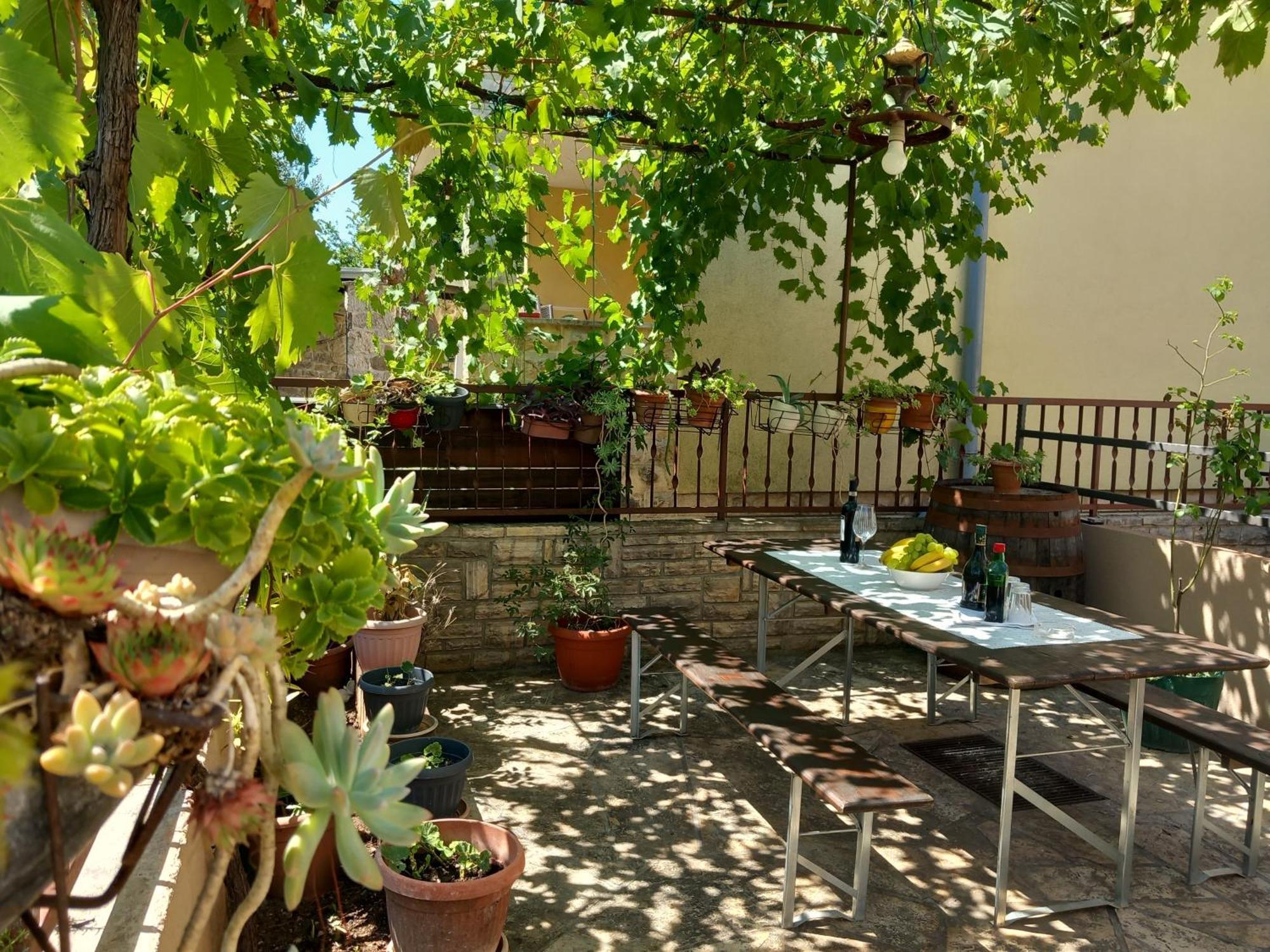 Apartman Oli زادار المظهر الخارجي الصورة