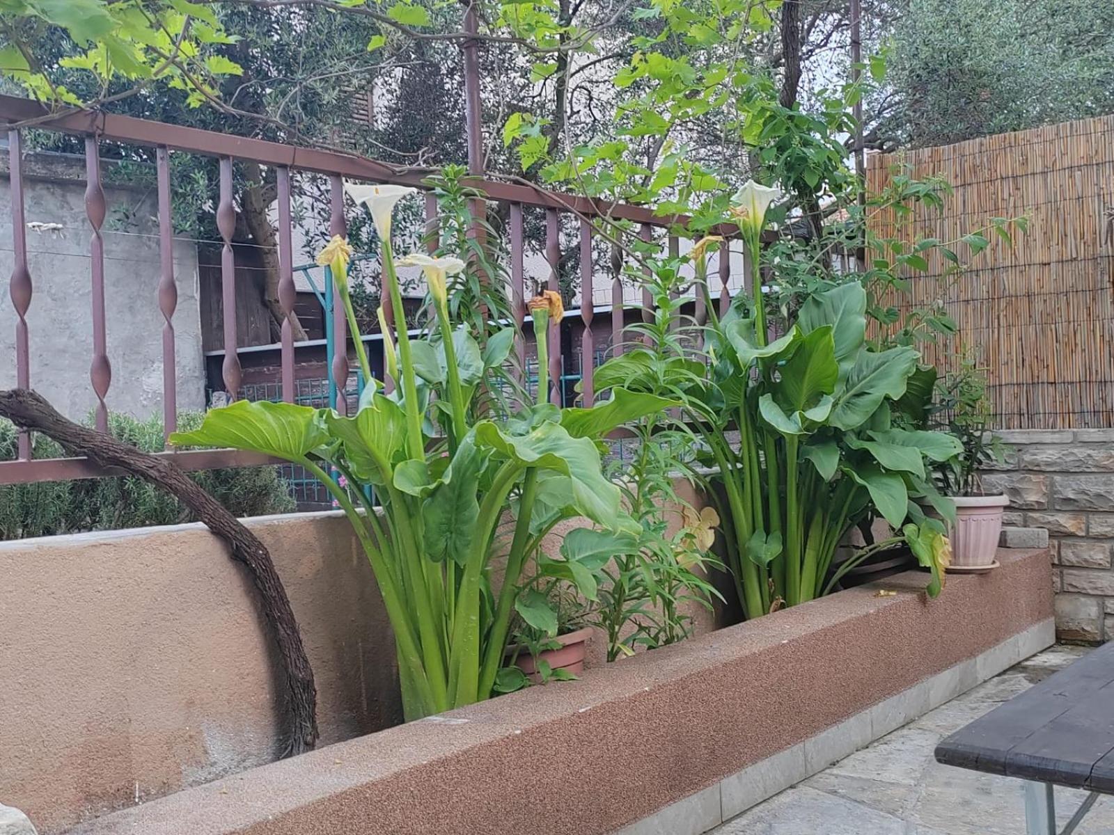 Apartman Oli زادار المظهر الخارجي الصورة